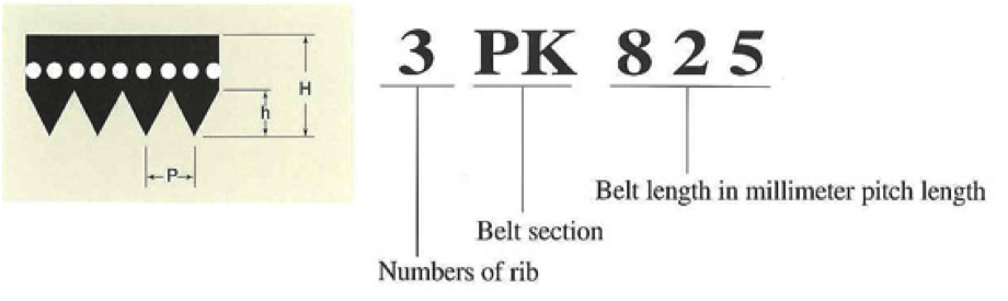 Poly V-Rib Automotive V-belts